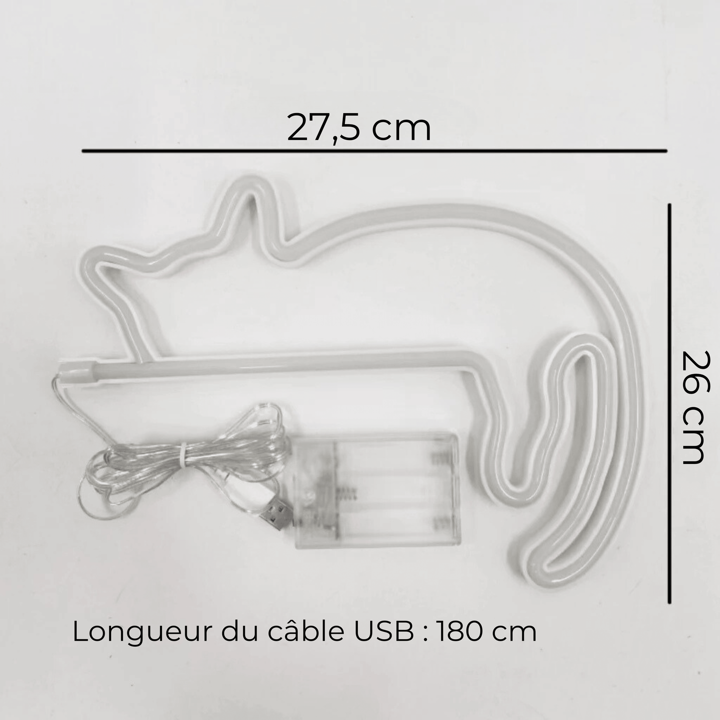 néon chat dimensions