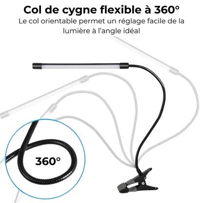 grande lampe de bureau à pince flexible