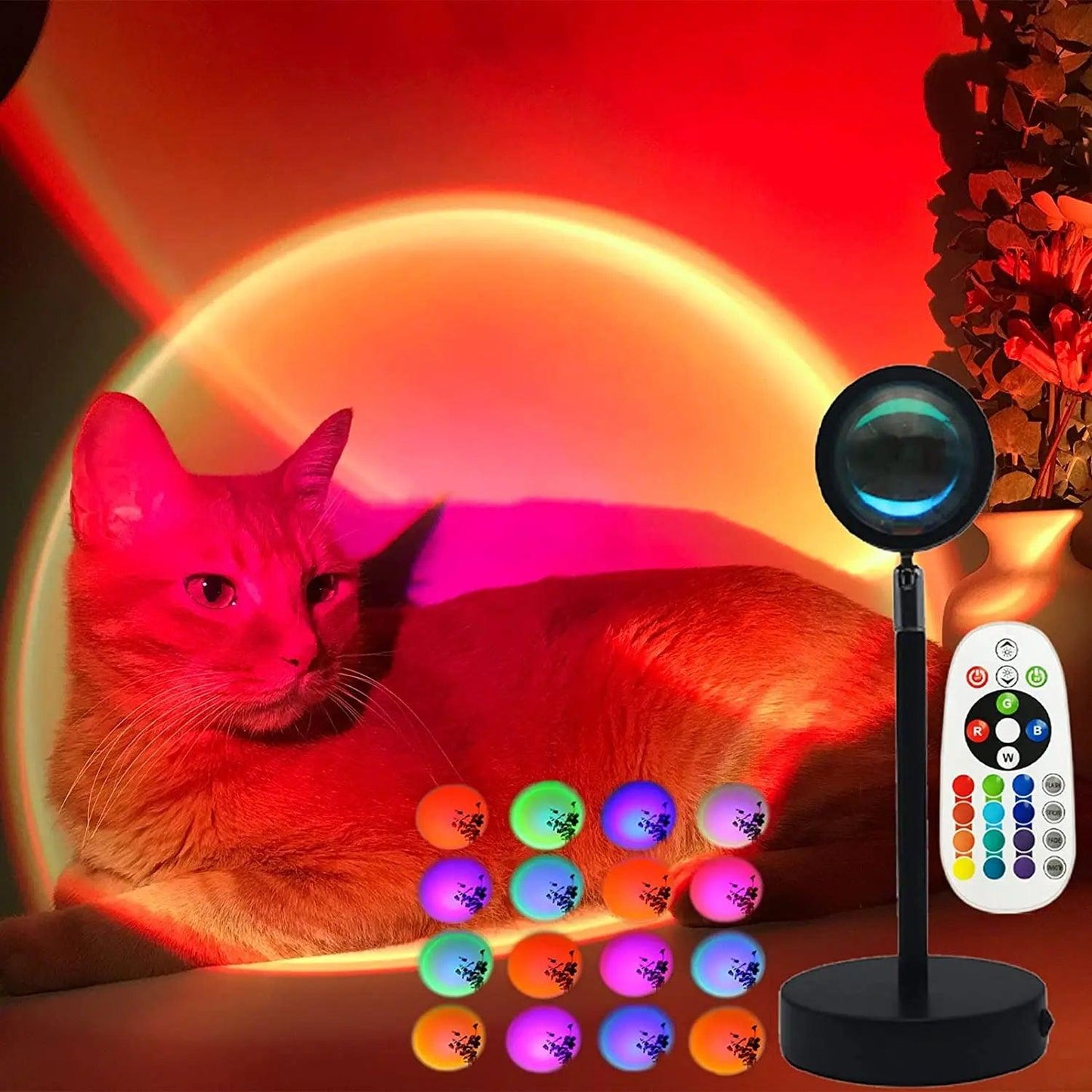 lampe effet coucher de soleil chat
