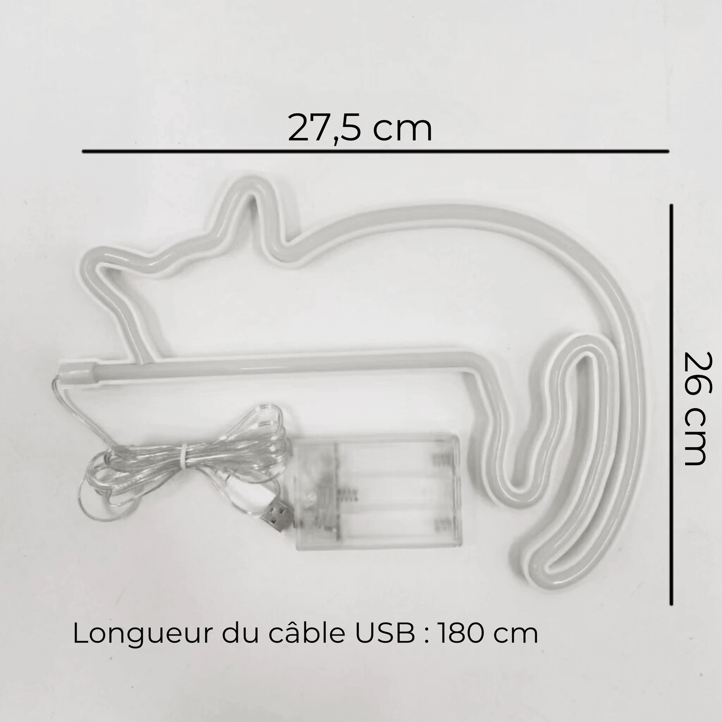 néon chat dimensions