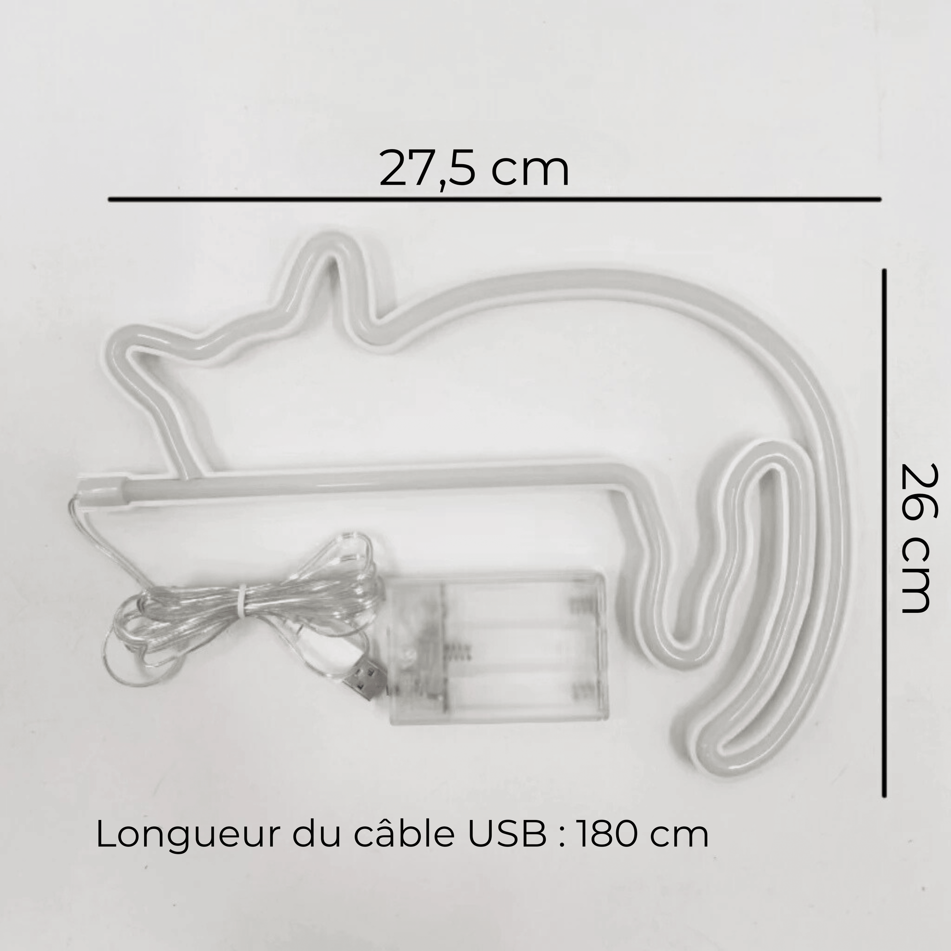 néon chat dimensions