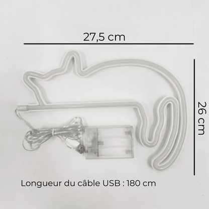 néon chat dimensions