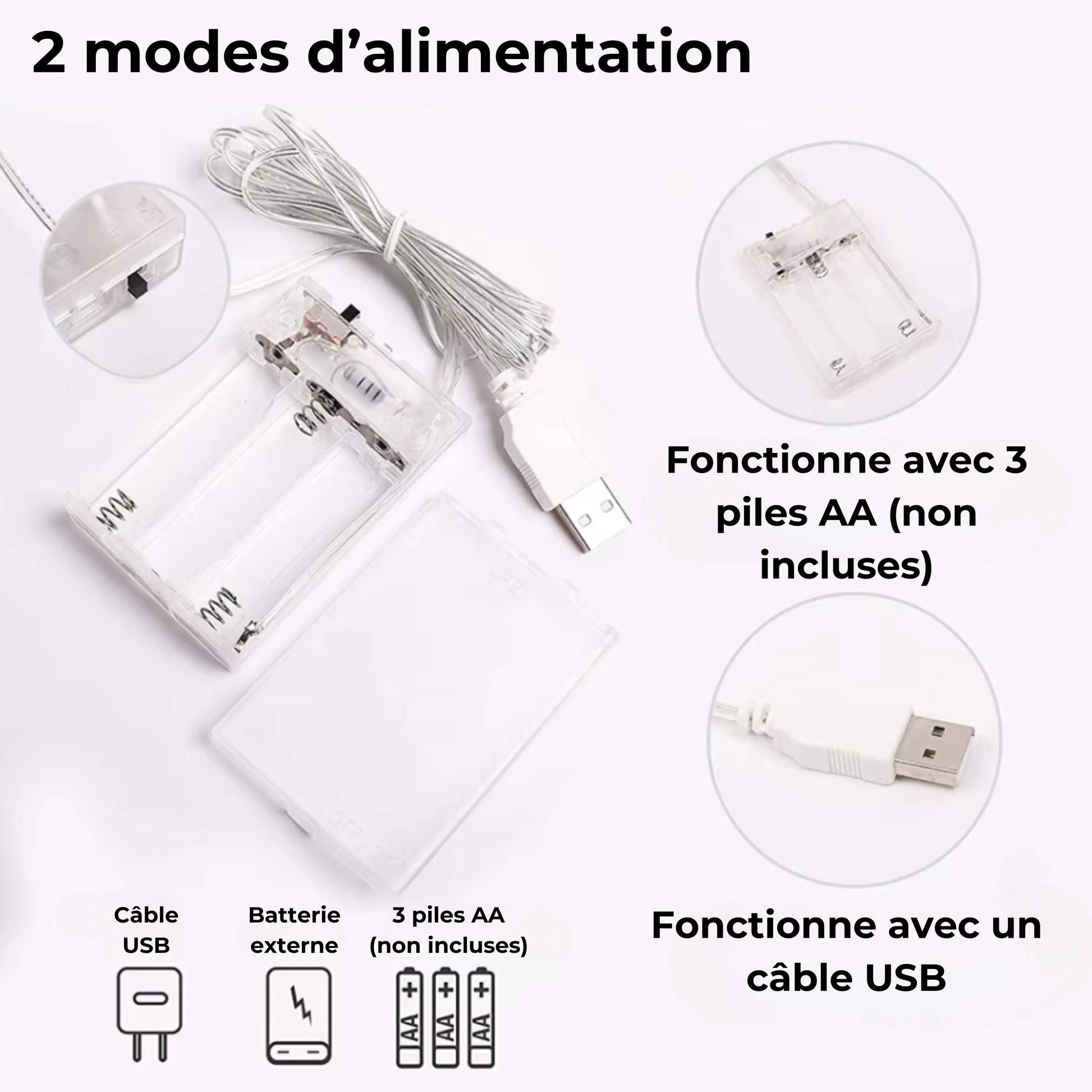néon décoratif dinosaure alimentation