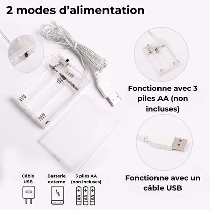 néon décoratif dinosaure alimentation