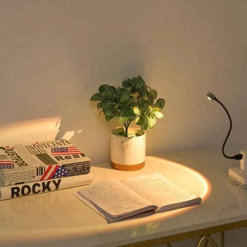 projecteur coucher de soleil USB livre