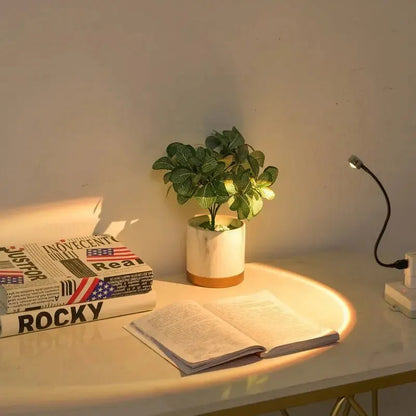 projecteur coucher de soleil USB livre
